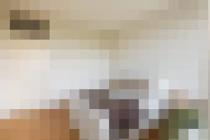 Livingstonelaan 540 Utrecht thumbnail 21
