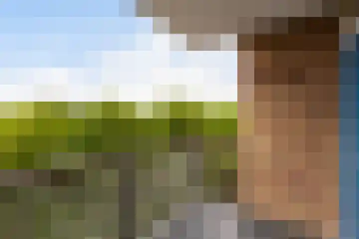 Livingstonelaan 540 Utrecht thumbnail 26