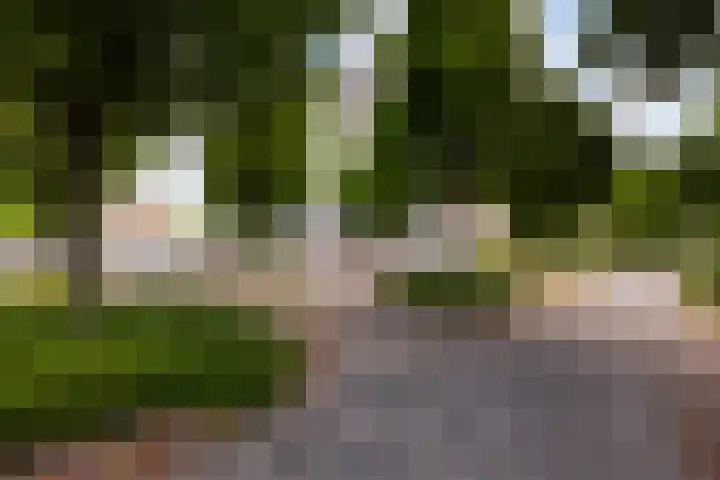 Livingstonelaan 540 Utrecht thumbnail 27