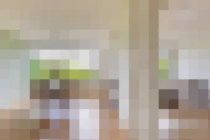 Livingstonelaan 540 Utrecht thumbnail 7