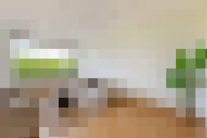 Livingstonelaan 540 Utrecht thumbnail 8