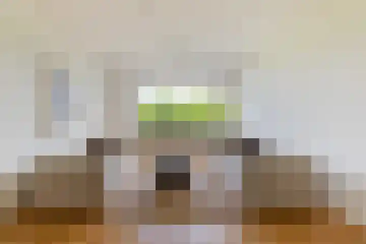 Livingstonelaan 540 Utrecht thumbnail 9