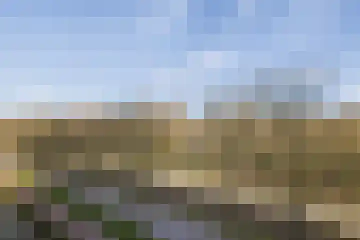 Livingstonelaan 548 Utrecht thumbnail 13