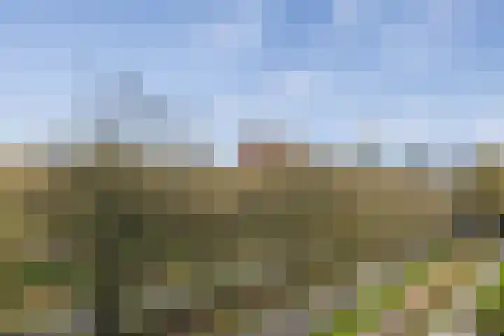Livingstonelaan 548 Utrecht thumbnail 14