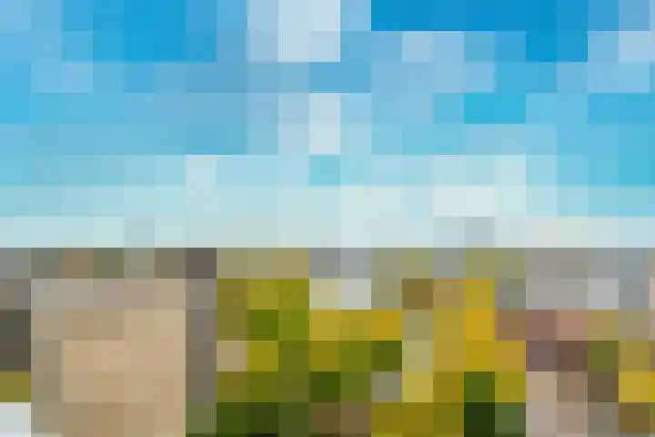 Livingstonelaan 556 Utrecht thumbnail 24