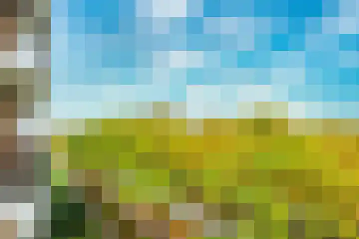 Livingstonelaan 556 Utrecht thumbnail 6