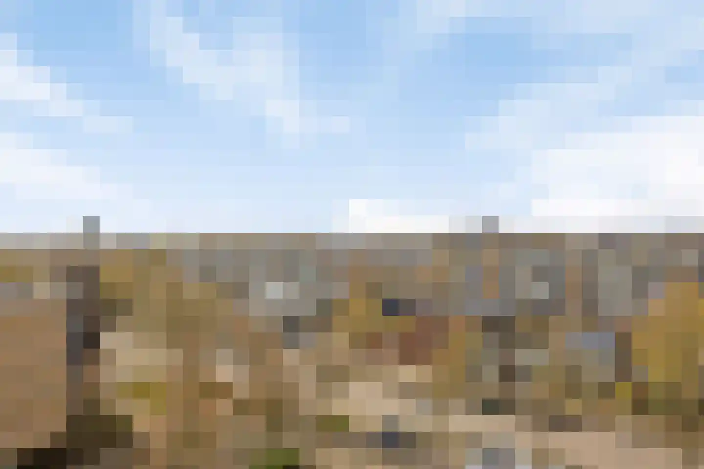 Livingstonelaan 570 Utrecht thumbnail 10