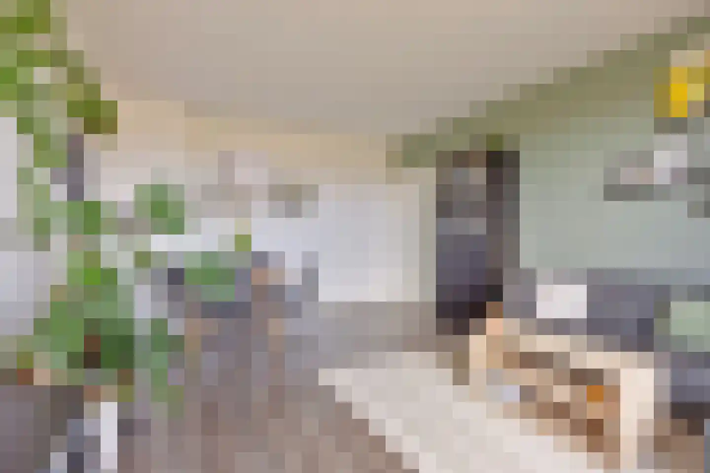 Livingstonelaan 570 Utrecht thumbnail 14