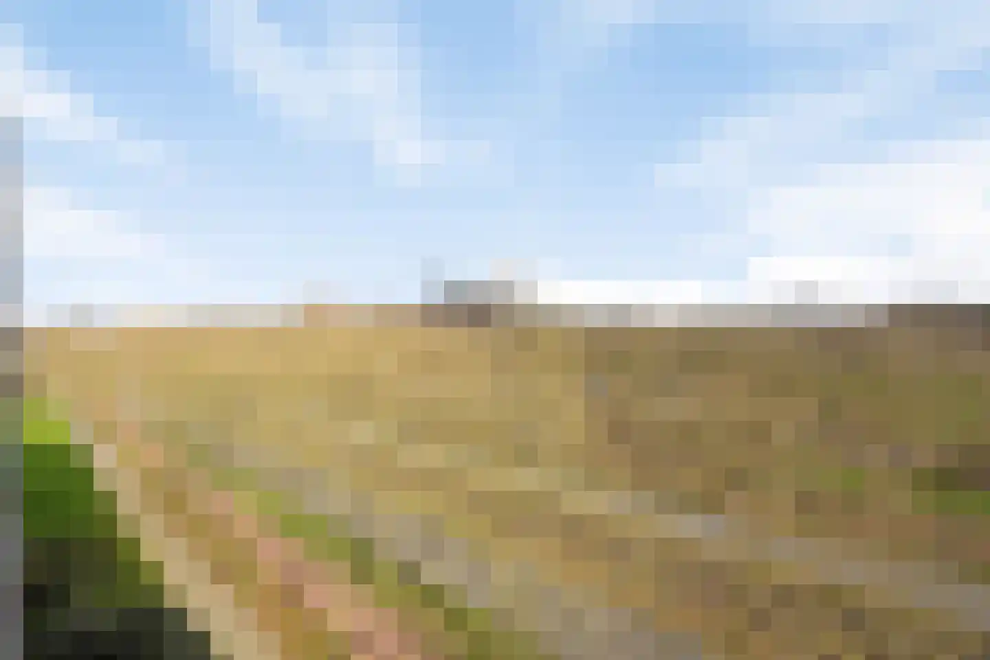 Livingstonelaan 570 Utrecht thumbnail 5