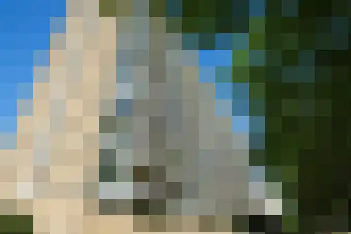 Livingstonelaan 596 Utrecht thumbnail 16
