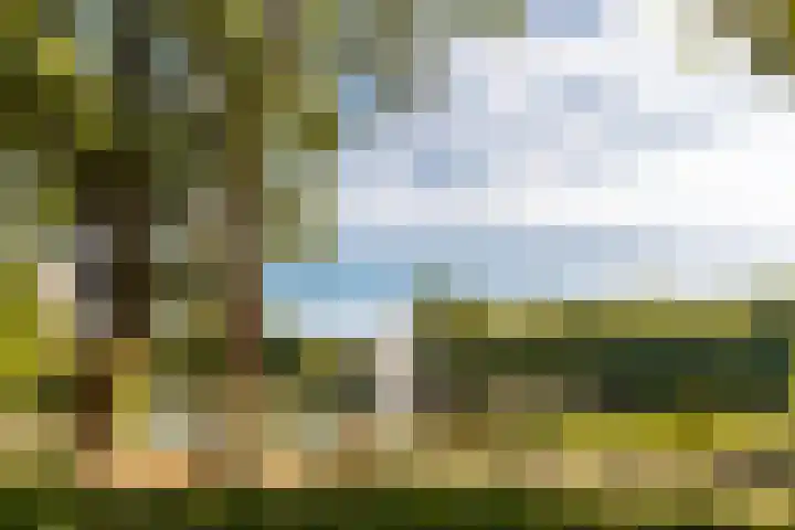 Livingstonelaan 596 Utrecht thumbnail 18