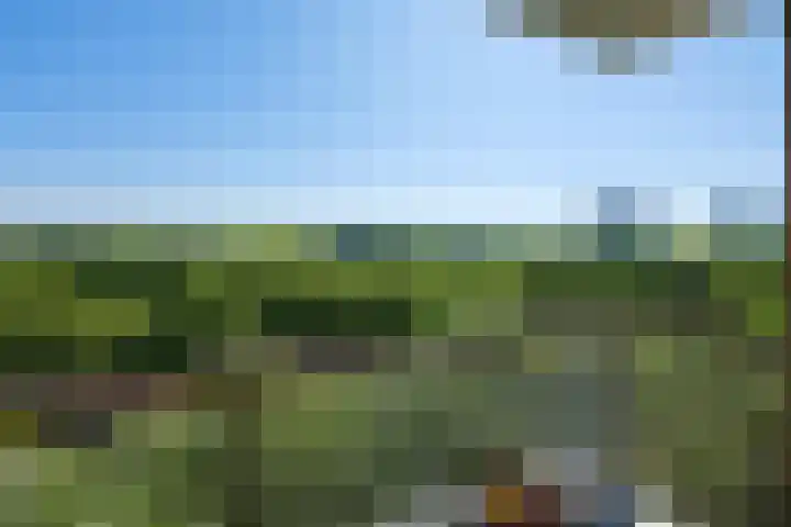 Livingstonelaan 596 Utrecht thumbnail 6