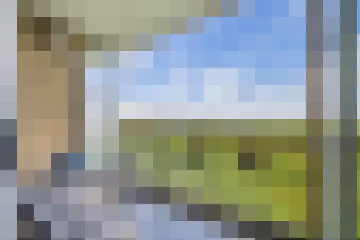 Livingstonelaan 602 Utrecht thumbnail 10