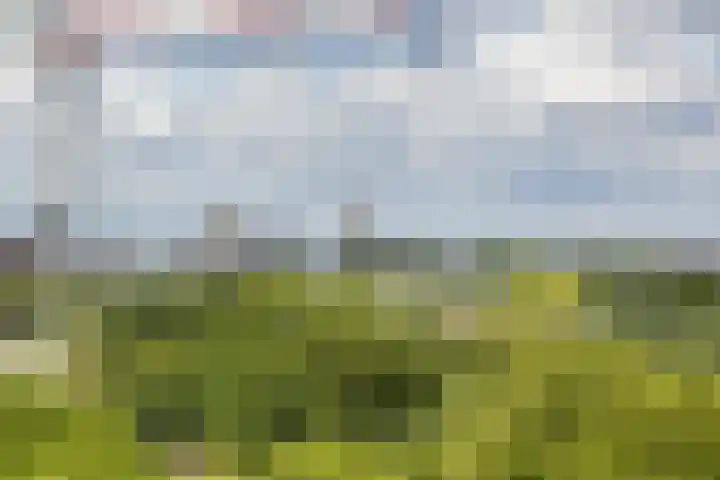 Livingstonelaan 602 Utrecht thumbnail 12