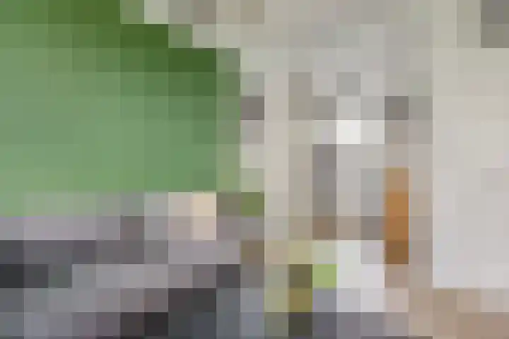 Livingstonelaan 602 Utrecht thumbnail 15