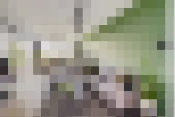 Livingstonelaan 602 Utrecht thumbnail 16