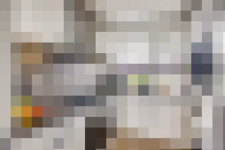 Livingstonelaan 602 Utrecht thumbnail 18