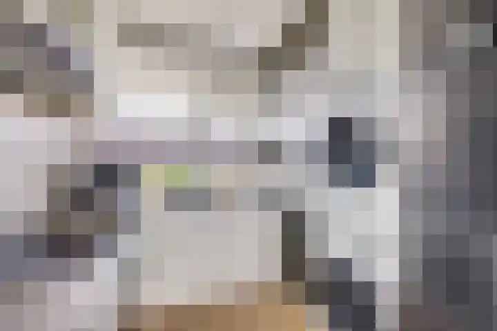 Livingstonelaan 602 Utrecht thumbnail 19
