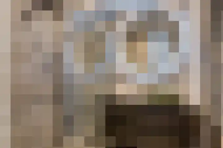 Livingstonelaan 602 Utrecht thumbnail 23