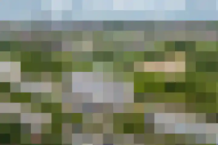 Livingstonelaan 602 Utrecht thumbnail 30