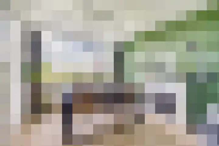 Livingstonelaan 602 Utrecht thumbnail 4