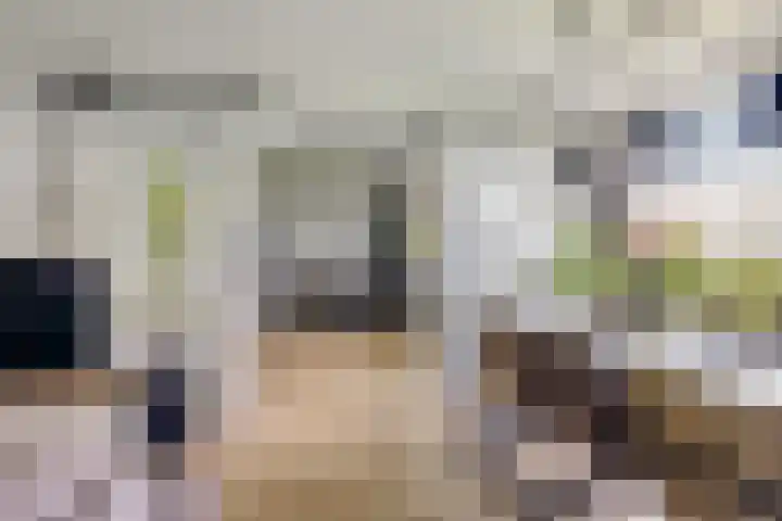 Livingstonelaan 602 Utrecht thumbnail 5