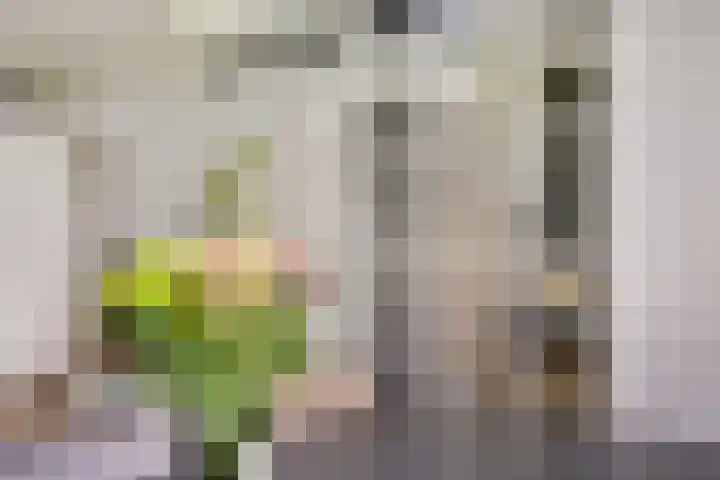 Livingstonelaan 602 Utrecht thumbnail 6