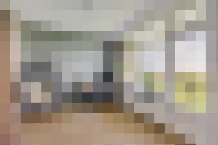Livingstonelaan 602 Utrecht thumbnail 7