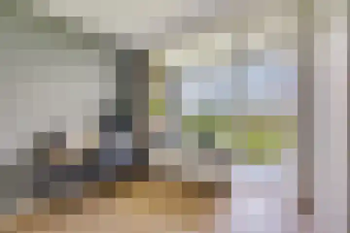 Livingstonelaan 602 Utrecht thumbnail 9