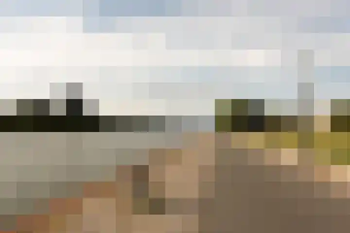 Livingstonelaan 608 Utrecht thumbnail 28