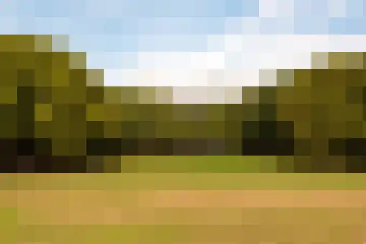 Livingstonelaan 608 Utrecht thumbnail 29