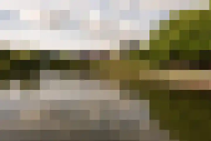 Livingstonelaan 608 Utrecht thumbnail 30