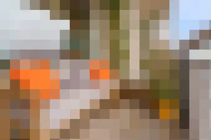 Livingstonelaan 608 Utrecht thumbnail 5