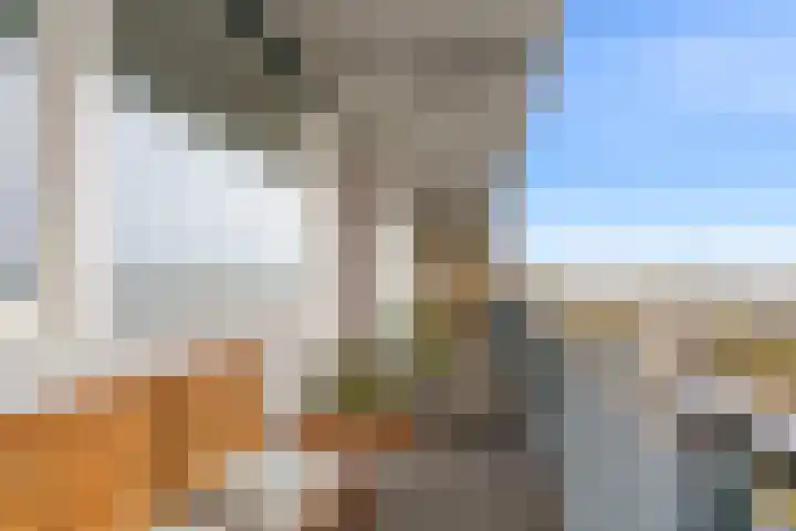 Livingstonelaan 608 Utrecht thumbnail 6