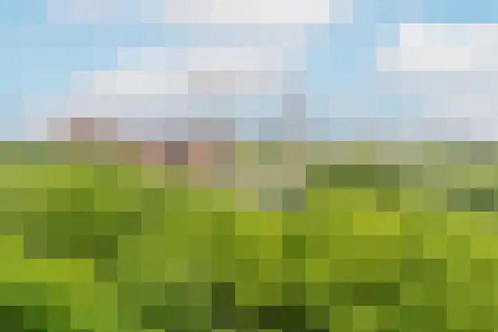Livingstonelaan 624 Utrecht thumbnail 14