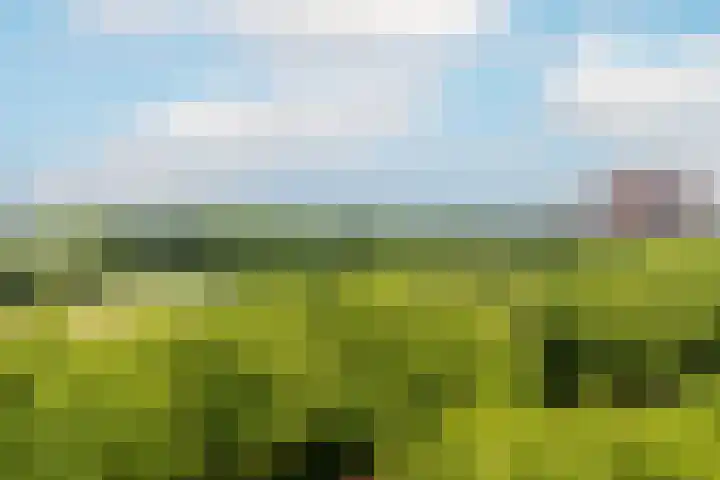 Livingstonelaan 624 Utrecht thumbnail 15
