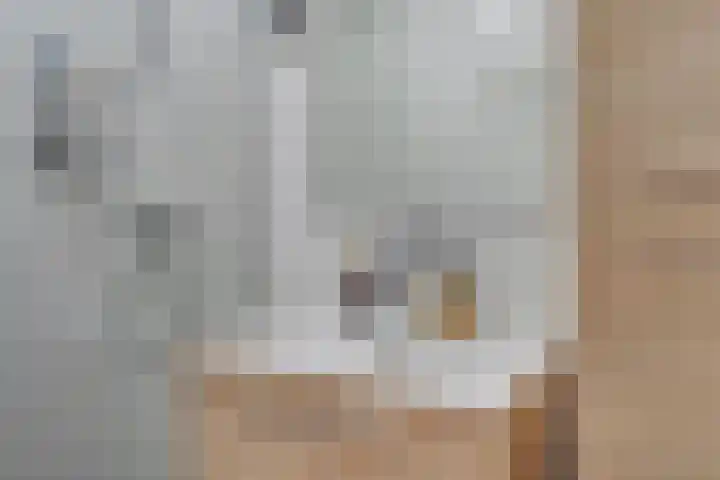 Livingstonelaan 624 Utrecht thumbnail 26