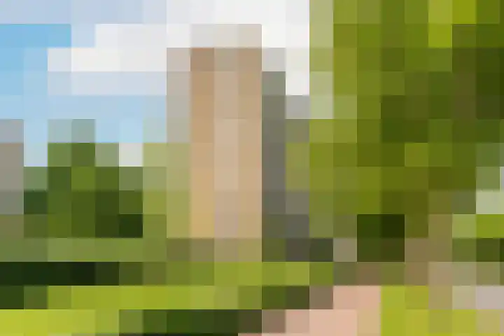 Livingstonelaan 624 Utrecht thumbnail 28