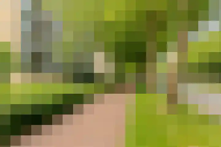 Livingstonelaan 624 Utrecht thumbnail 29