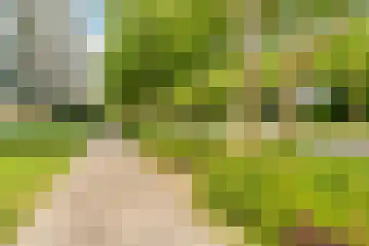 Livingstonelaan 624 Utrecht thumbnail 31