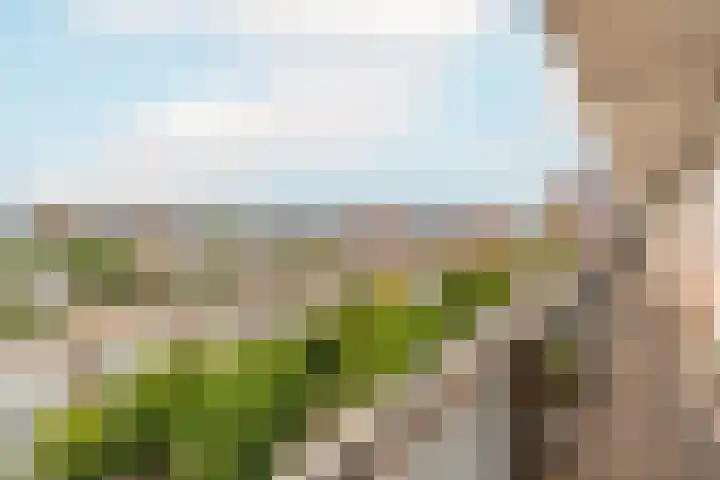 Livingstonelaan 624 Utrecht thumbnail 34