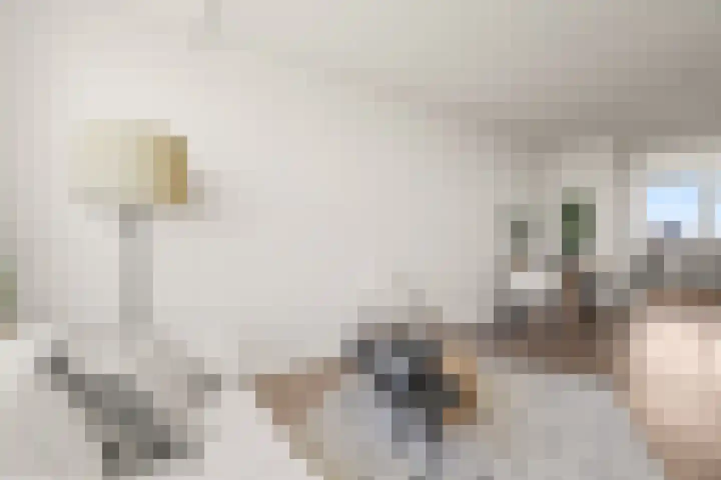 Livingstonelaan 638 Utrecht thumbnail 22