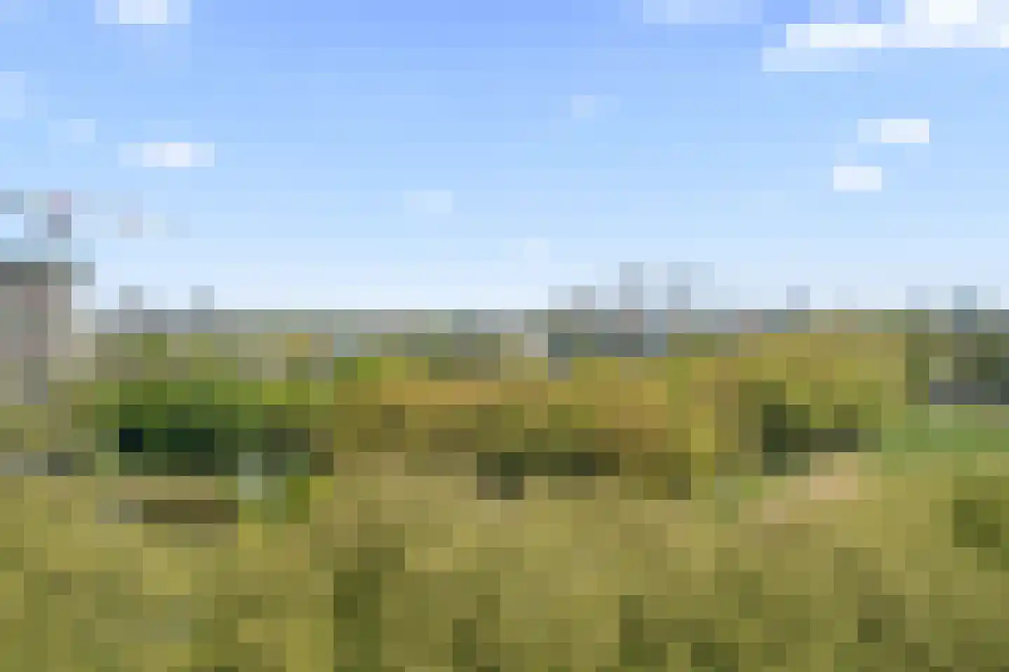 Livingstonelaan 638 Utrecht thumbnail 32