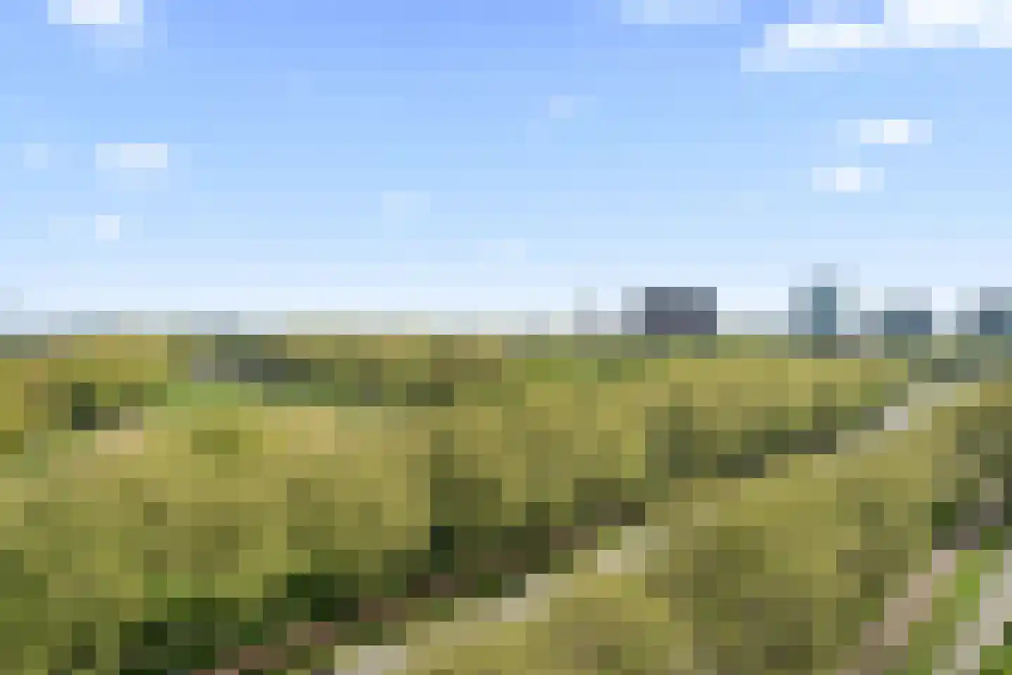 Livingstonelaan 638 Utrecht thumbnail 33