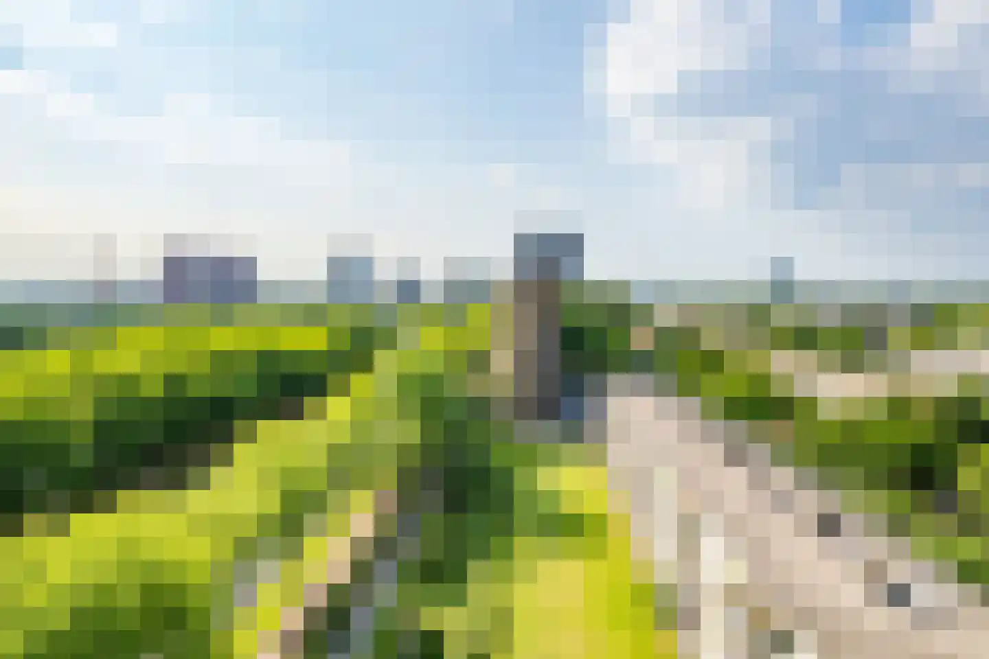 Livingstonelaan 646 Utrecht thumbnail 13