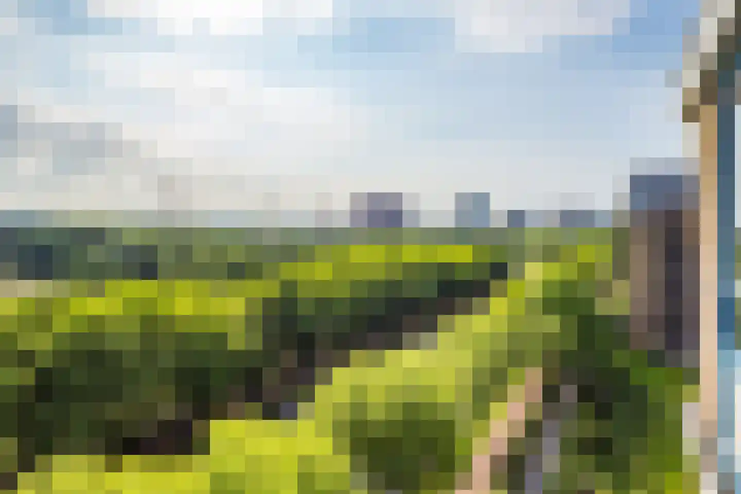 Livingstonelaan 646 Utrecht thumbnail 18