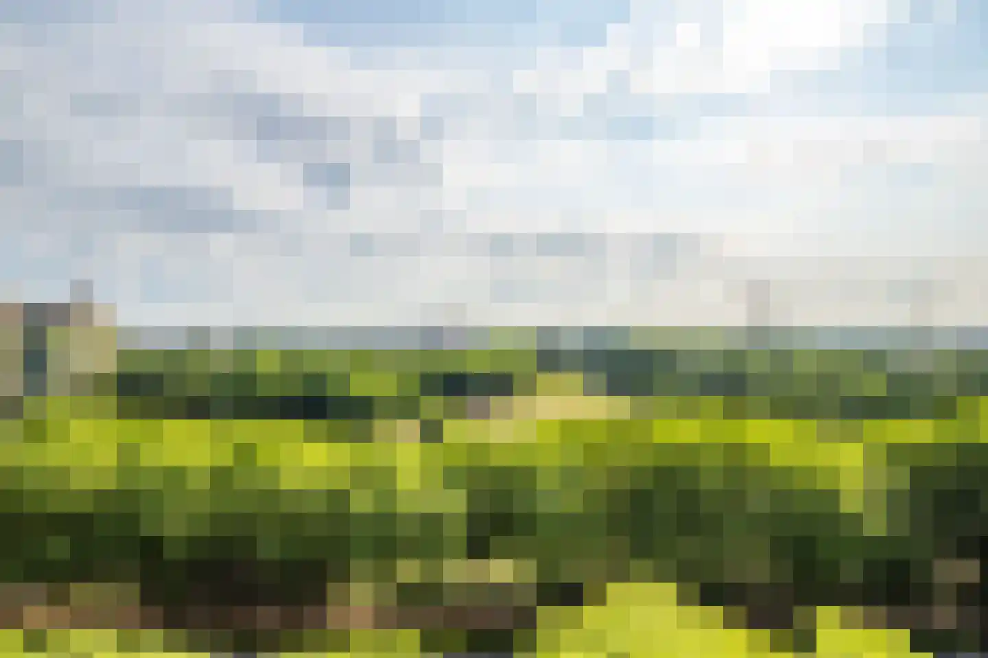 Livingstonelaan 646 Utrecht thumbnail 20