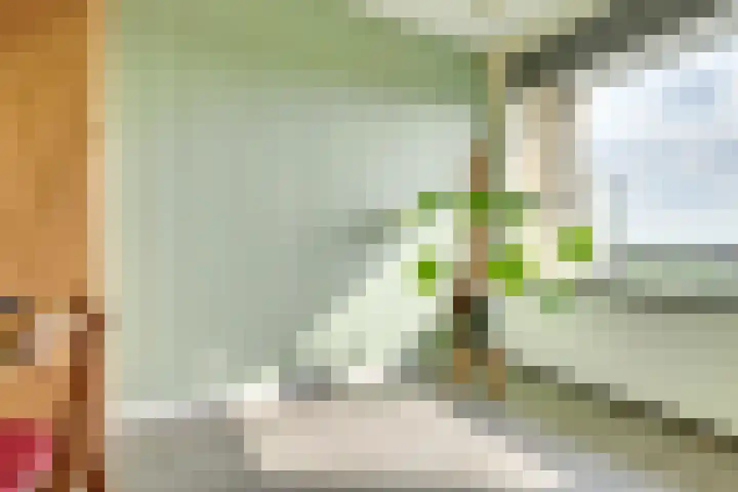 Livingstonelaan 646 Utrecht thumbnail 38