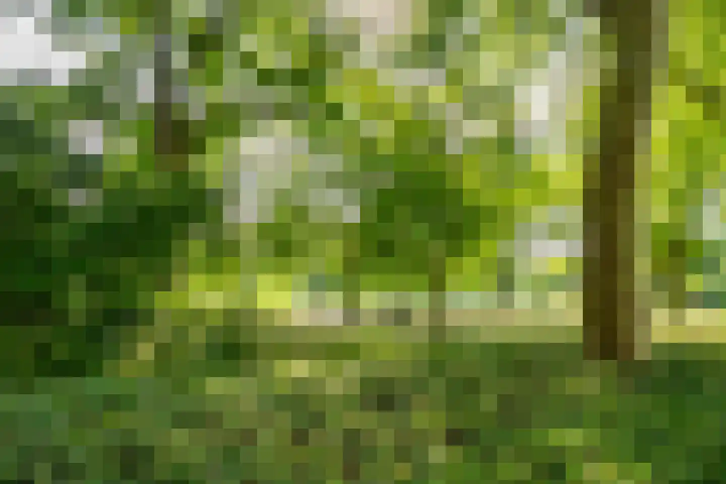 Livingstonelaan 646 Utrecht thumbnail 48