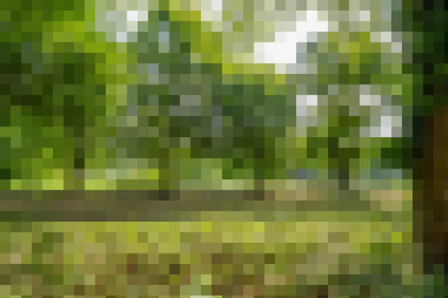 Livingstonelaan 646 Utrecht thumbnail 49